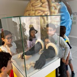 Alumnos observan un modelo del cerebro dentro de una vitrina en una de las salas del museo.